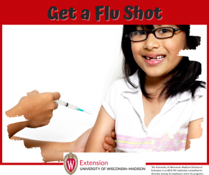 The Importance of the Flu Vaccine