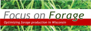 Focus on Forage – Alfalfa Grass Mixtures for Dairy Forage Using Meadow and Tall Fescues