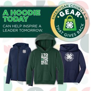 A Hoodie Today