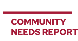 2026 Community Needs Forum CDI Report