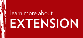 Learn more about Extension